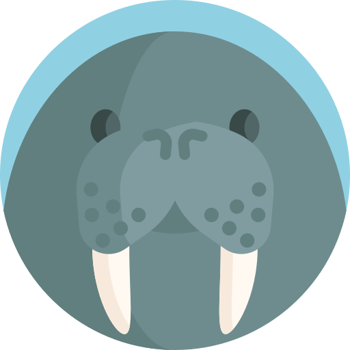 Walrus User Profile Image